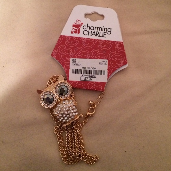 Charming Charlie Owl Necklace - Picture 3 of 3