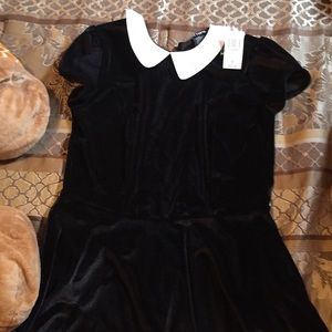 Velvet collar dress