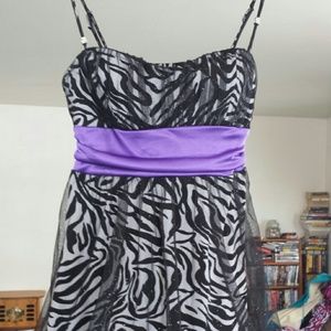Zebra Stripped Dress