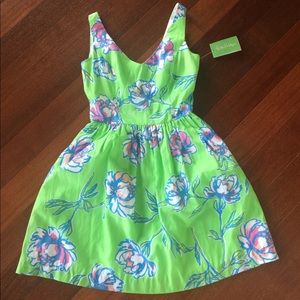 Lilly Pulitzer Roswell Dress