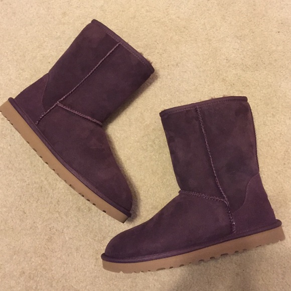 UGG Shoes - Women's Short Purple Uggs