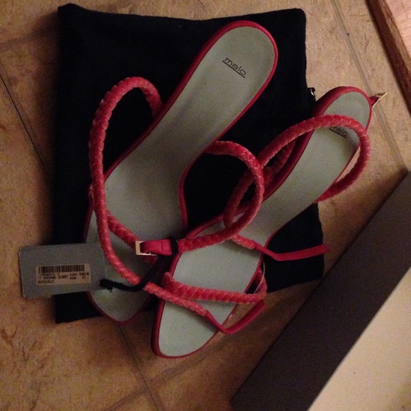 sandals of summer wow