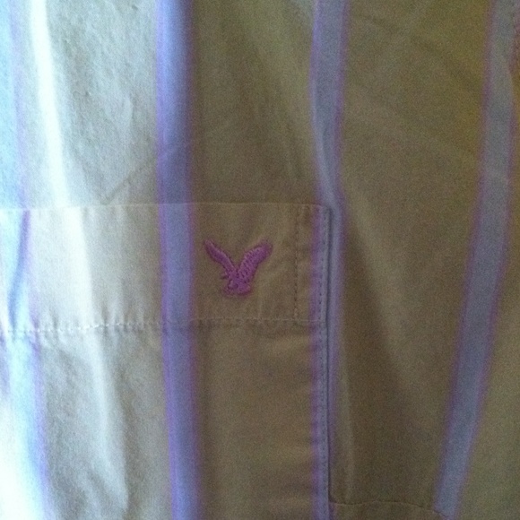 American eagle - Picture 3 of 4