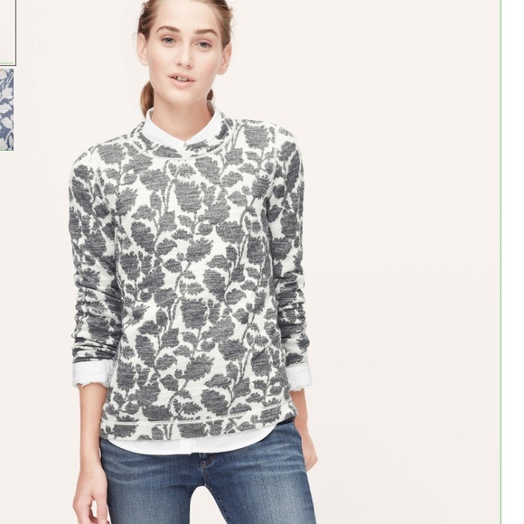 NWT XS Petite. Ivy jacquard sweatshirt