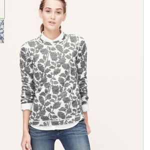 NWT XS Petite. Ivy jacquard sweatshirt