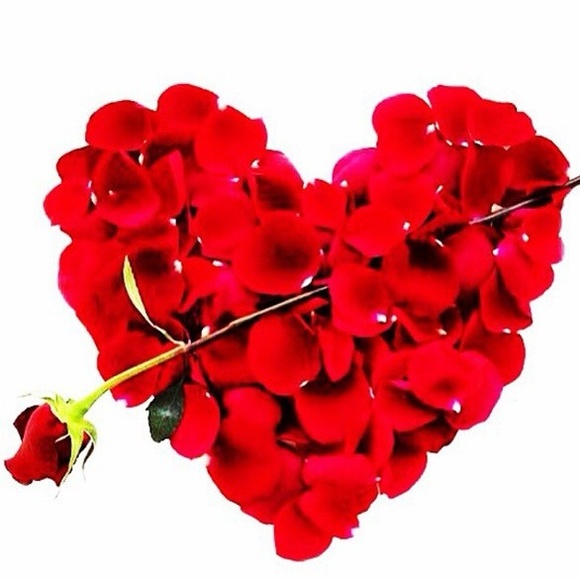 Hope your having a LOVELY day!
