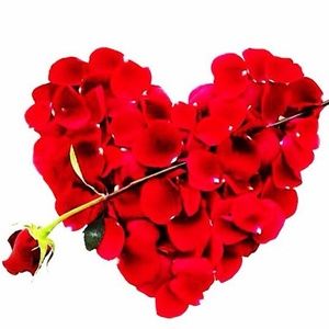 Hope your having a LOVELY day!