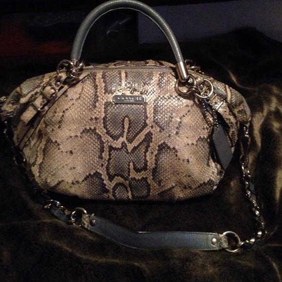 Coach softly pleated Sophia Satchel Silhouette