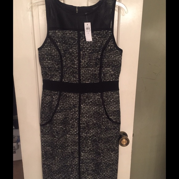 Ann Taylor tweed and faux leather dress