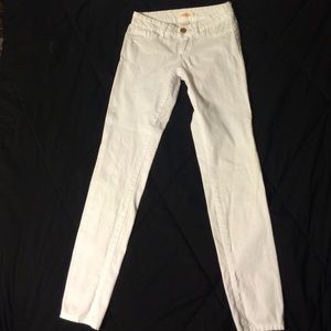 Charlotte Russe Jeggings