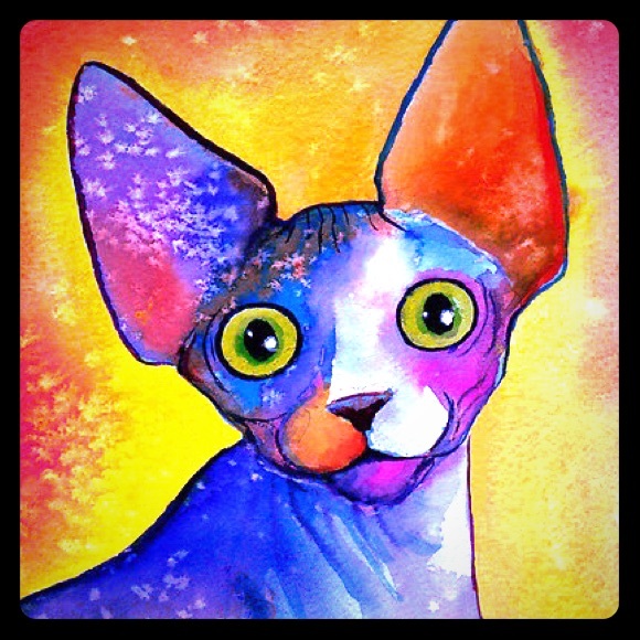 Looking for Camo! - Picture 1 of 1