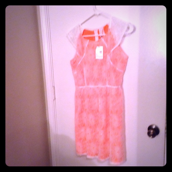 Pink Owl Dress Lace Style