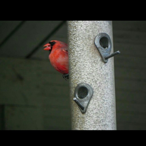 Brown and black leather coach purses for Sadar.