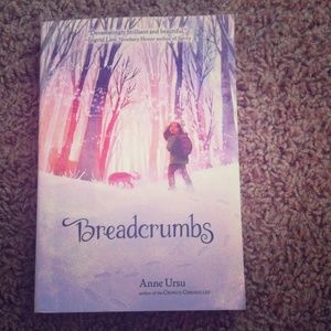 Breadcrumbs - Anne Ursu