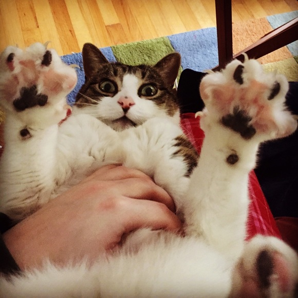 💁MEET YOUR SELLER!!!💁 - Picture 2 of 4