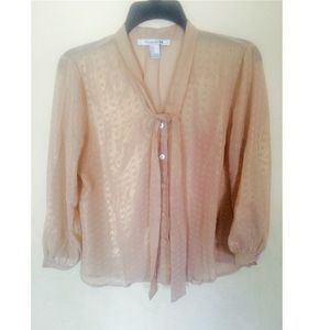 Sheer Nude Polka Dotted Top❤️