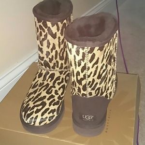 Leopard print UGGS AUTHENTIC NWT