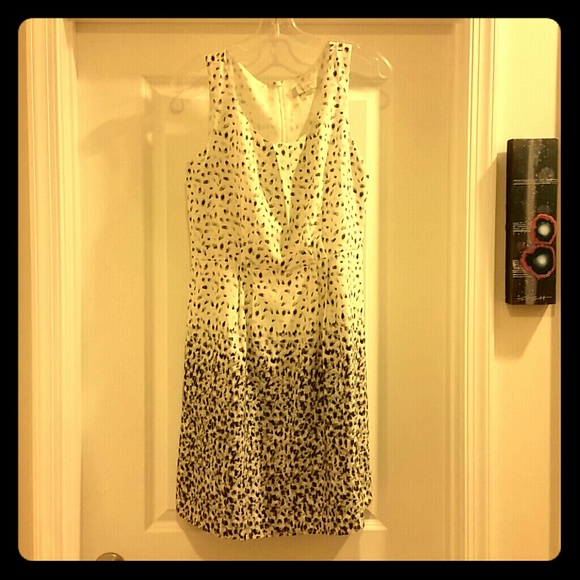 Ann Taylor Loft Dress