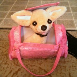 Dog and purse