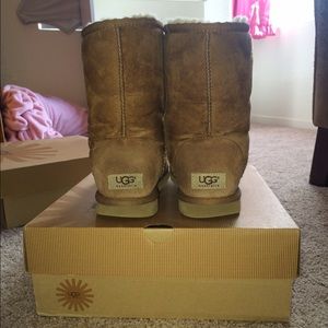 Classic short chestnut uggs