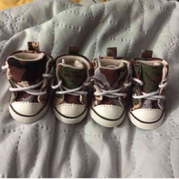 Camo dog shoes