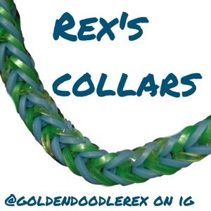 Rex's collar