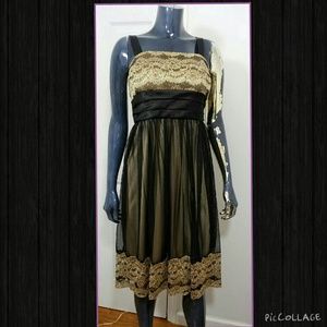 Dressbarn collection evening dress lace
