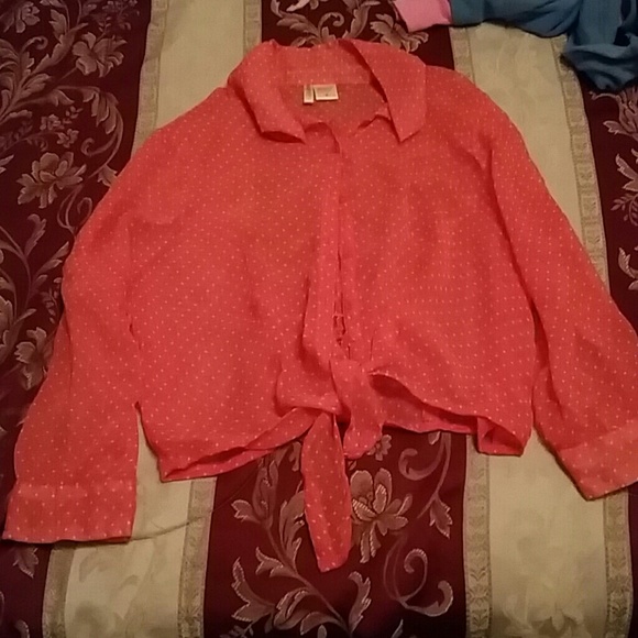 Bundle all 3 - Picture 3 of 4