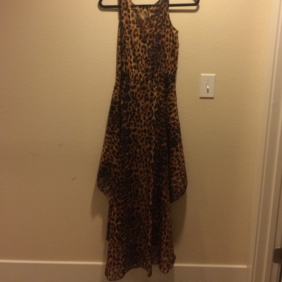 LF Cheetah dress - Picture 4 of 4