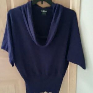 Elegant Eggplant-purple Cowel-neck Batwing Sweater
