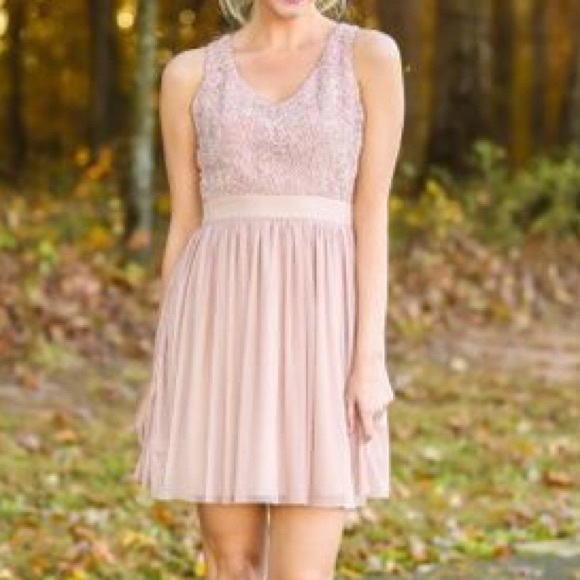 nwt blush dress