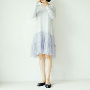 Gray Meshed Dress