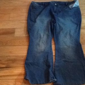 Lane Bryant straight leg jeans