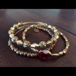 Set of 3 Alex and Ani Braclets