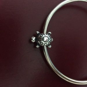 Turtle Charm