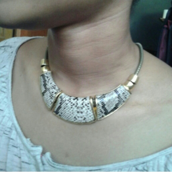Fashion Jewelry Jewelry Gold Tone Snake Print Necklace Nwt Poshmark