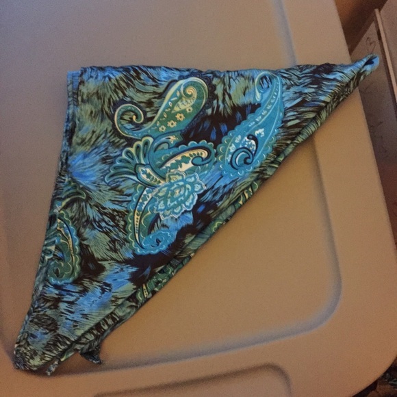 Blue paisley neck scarf