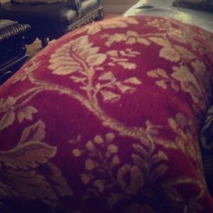 A dog ragging pillow