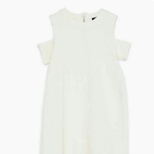 JUST LOWERED! Zara creme dress
