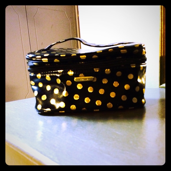 Tote along travel case