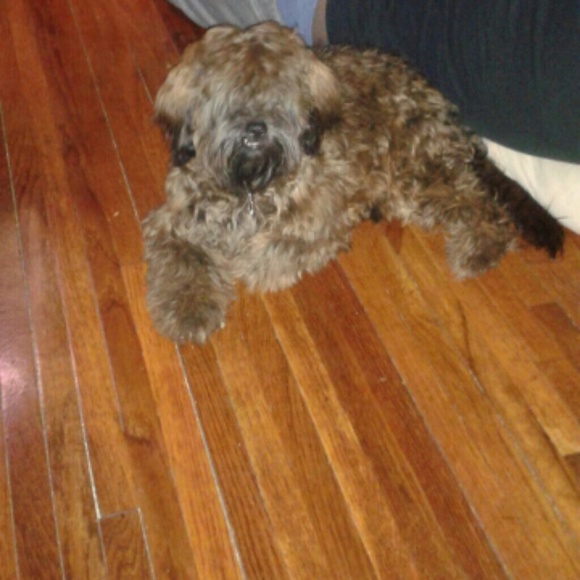 ☆Blessings, I'm Rk☆... A Trusted Seller /Buyer ... - Picture 4 of 4