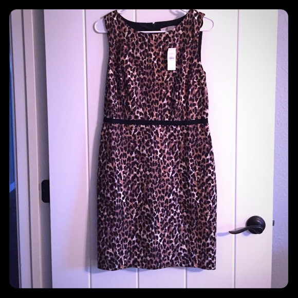 Ann Taylor Loft Dress
