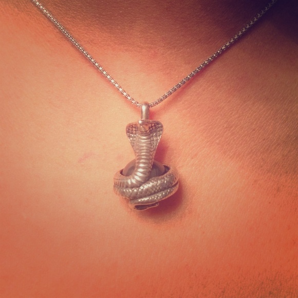 Silver and hematite snake pendant