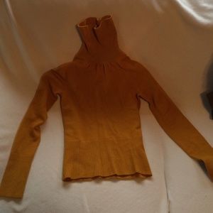 Turtleneck sweater.