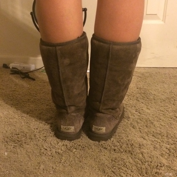 Chocolate tall uggs