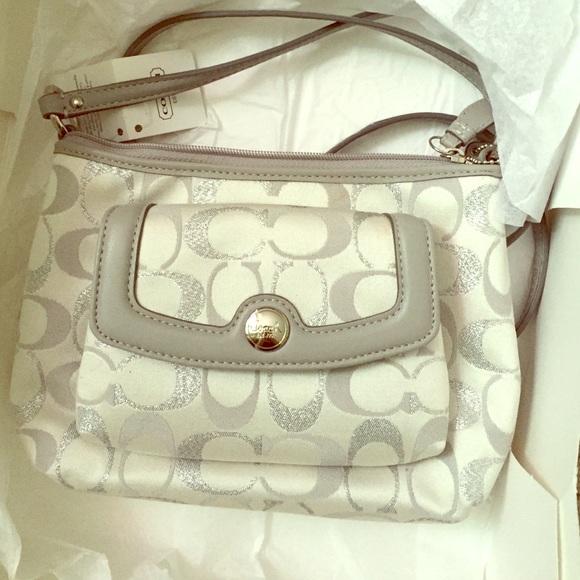 Silver Coach Crossbody Bag