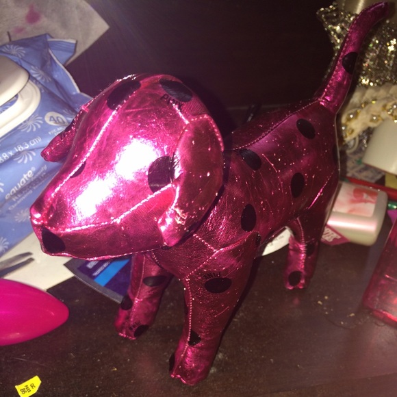 Victoria's Secret Accessories - Victoria secret dog