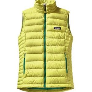 Patagonia vest