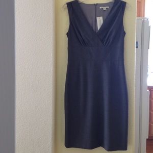 NWT Banana Republic Sleeveless Dress