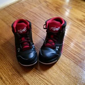 Bundle for ccolottii